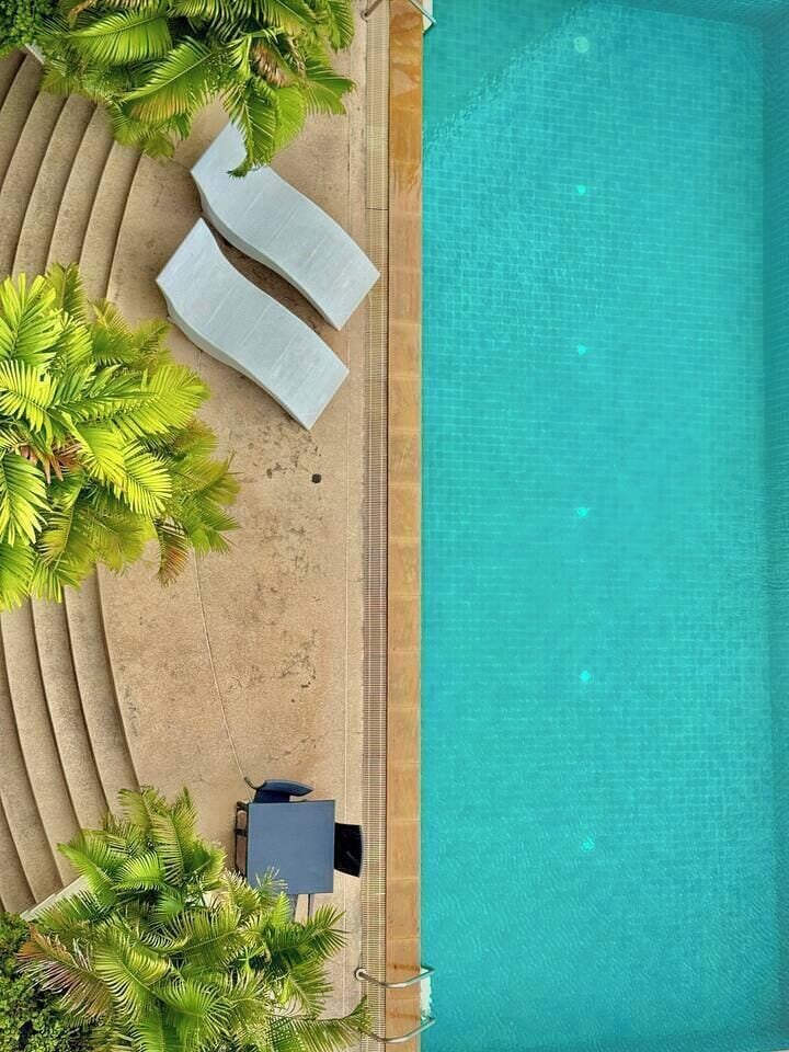 An aerial view of a swimming pool with lounge chairs and palm trees.
