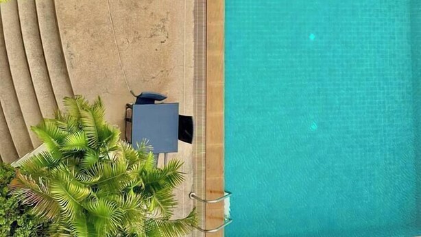 Luftaufnahme eines Schwimmbeckens mit Liegestühlen und Palmen.