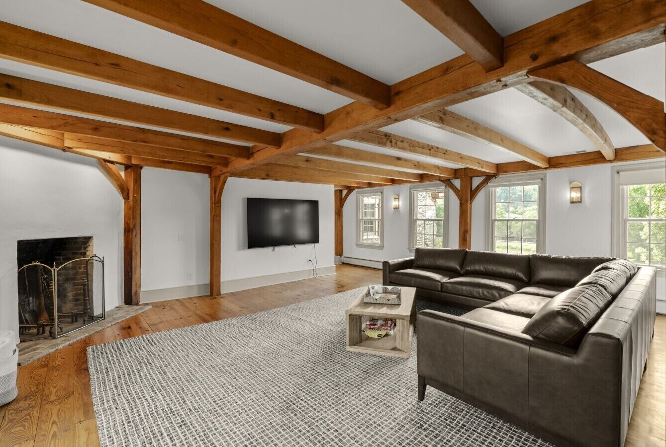 TV, fireplace, books