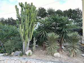 A garden with various cacti and palm plants, a stone wall, and a sign that reads 'VILLA HELDOR'. - Villa Helios—Private Pool—Walking Distance to Moraira Center—Plenty of Space and Privacy (Teulada)