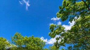 A row of white cabins with a dirt path between them, surrounded by green trees and a clear blue sky. - Lake Sevan Private Cottage with Yard (Shoghakat)