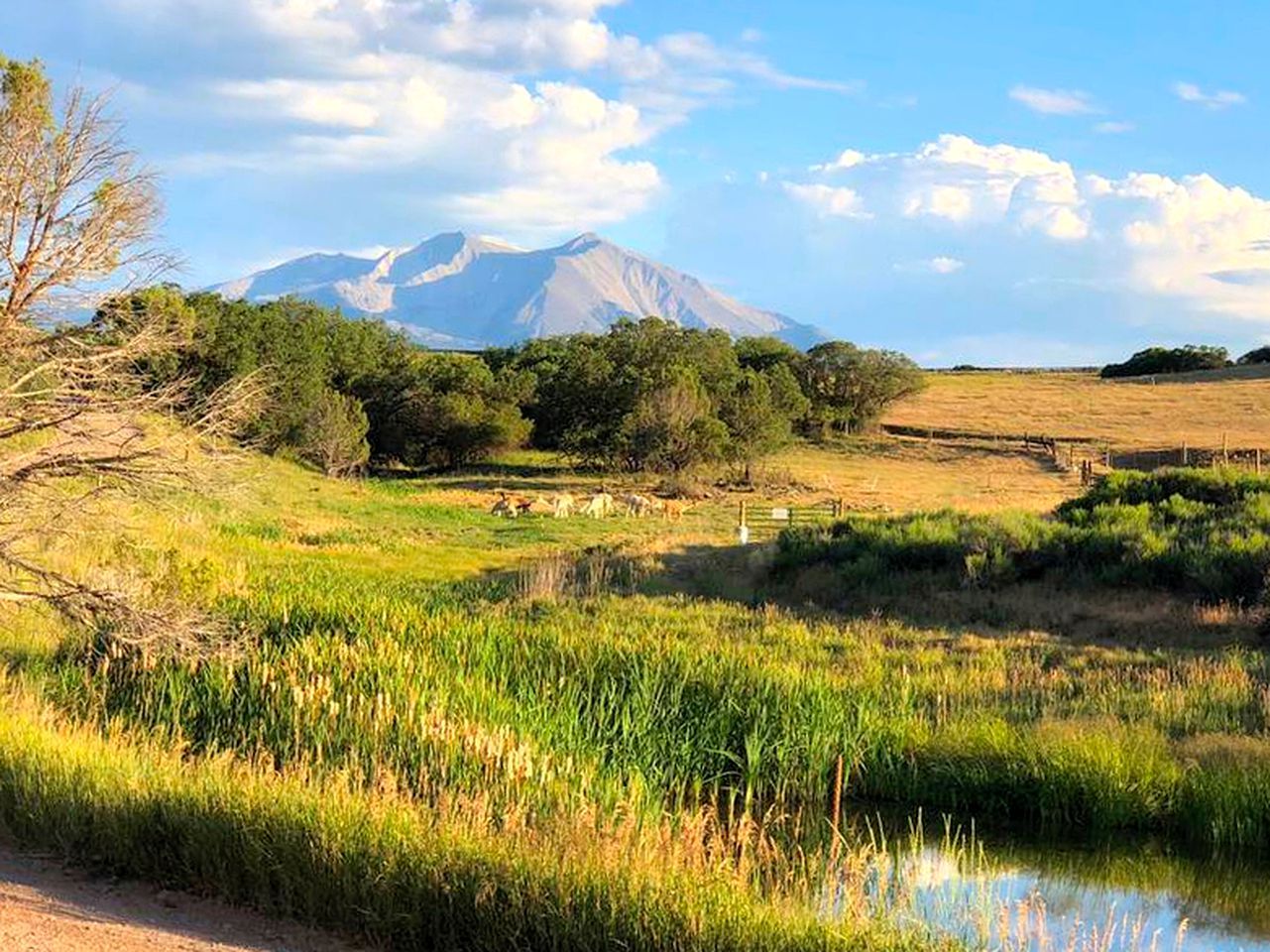 Un paysage naturel avec une montagne en arrière-plan, un champ herbeux et un petit plan d’eau.