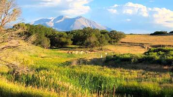 Un paysage naturel avec une montagne en arrière-plan, un champ herbeux et un petit plan d’eau.