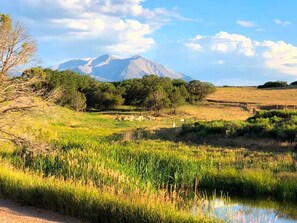 A natural landscape with a mountain in the background, a grassy field, and a small body of water.