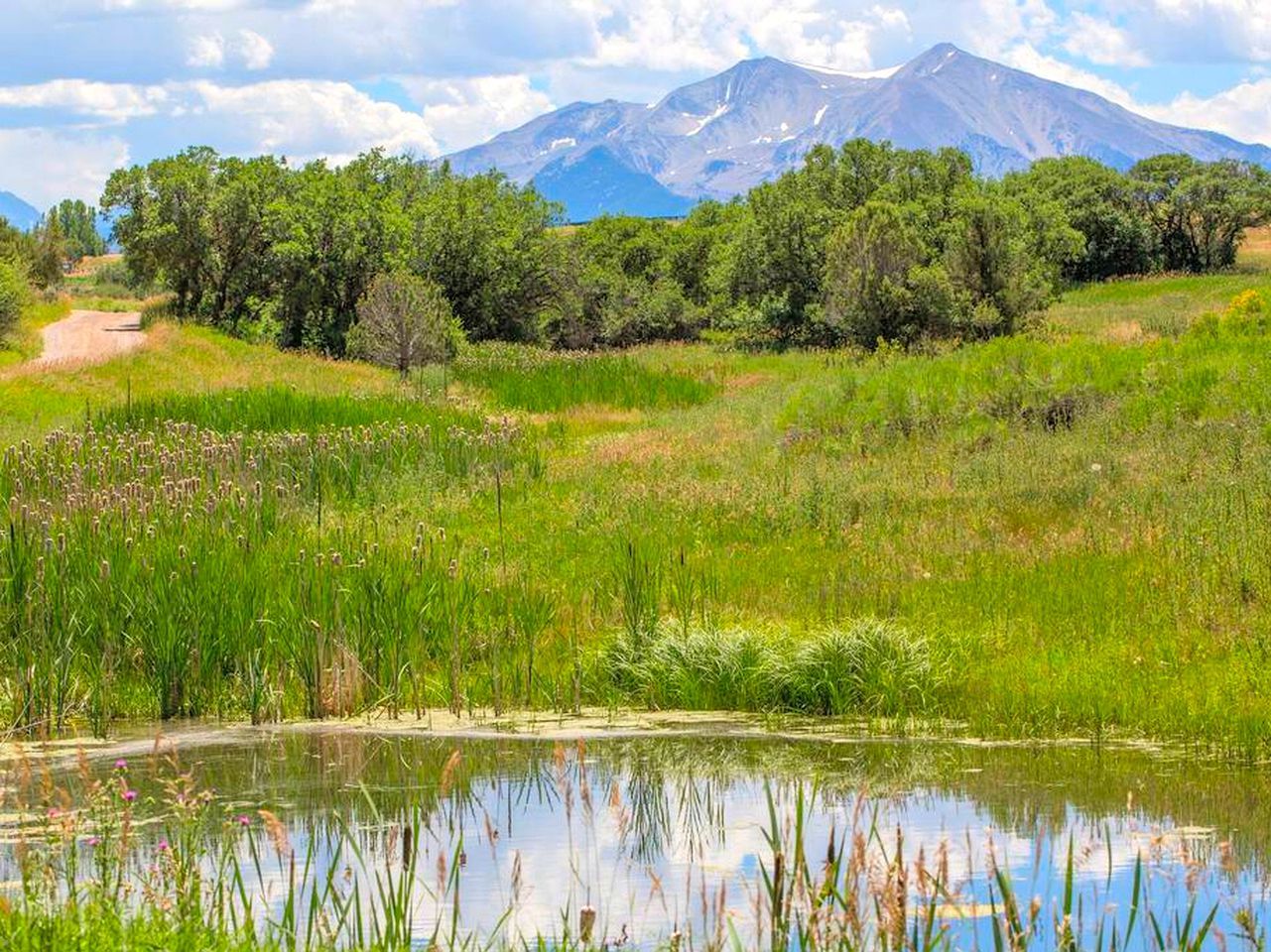 Un paysage naturel avec un étang, de la végétation et une montagne en arrière-plan.