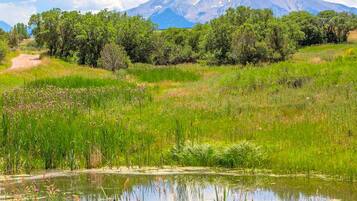Un paysage naturel avec un étang, de la végétation et une montagne en arrière-plan.