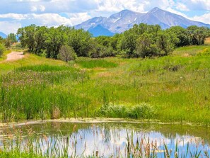 A natural landscape with a pond, greenery, and a mountain in the background.