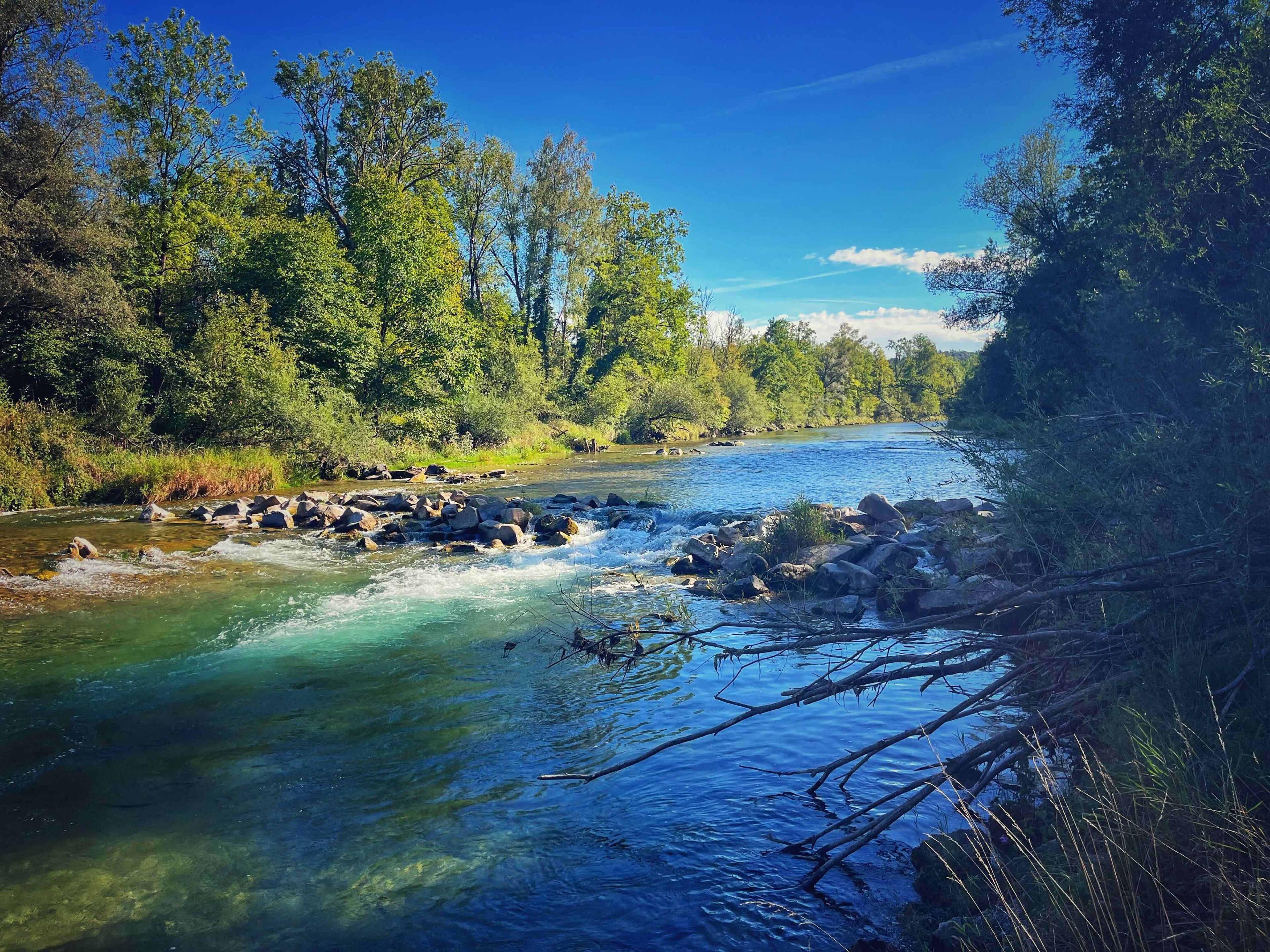 Un río serpentea a través de un bosque con rocas y árboles.