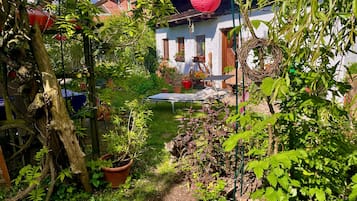 Un jardín con un trampolín, un farol rojo y diversas plantas.