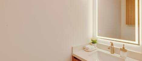 A modern bathroom with a large mirror, a sink, and a small plant.