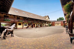 Exterior - Winter Room – Breakfast Included, Games Room – Bossendorf (Bossendorf)
