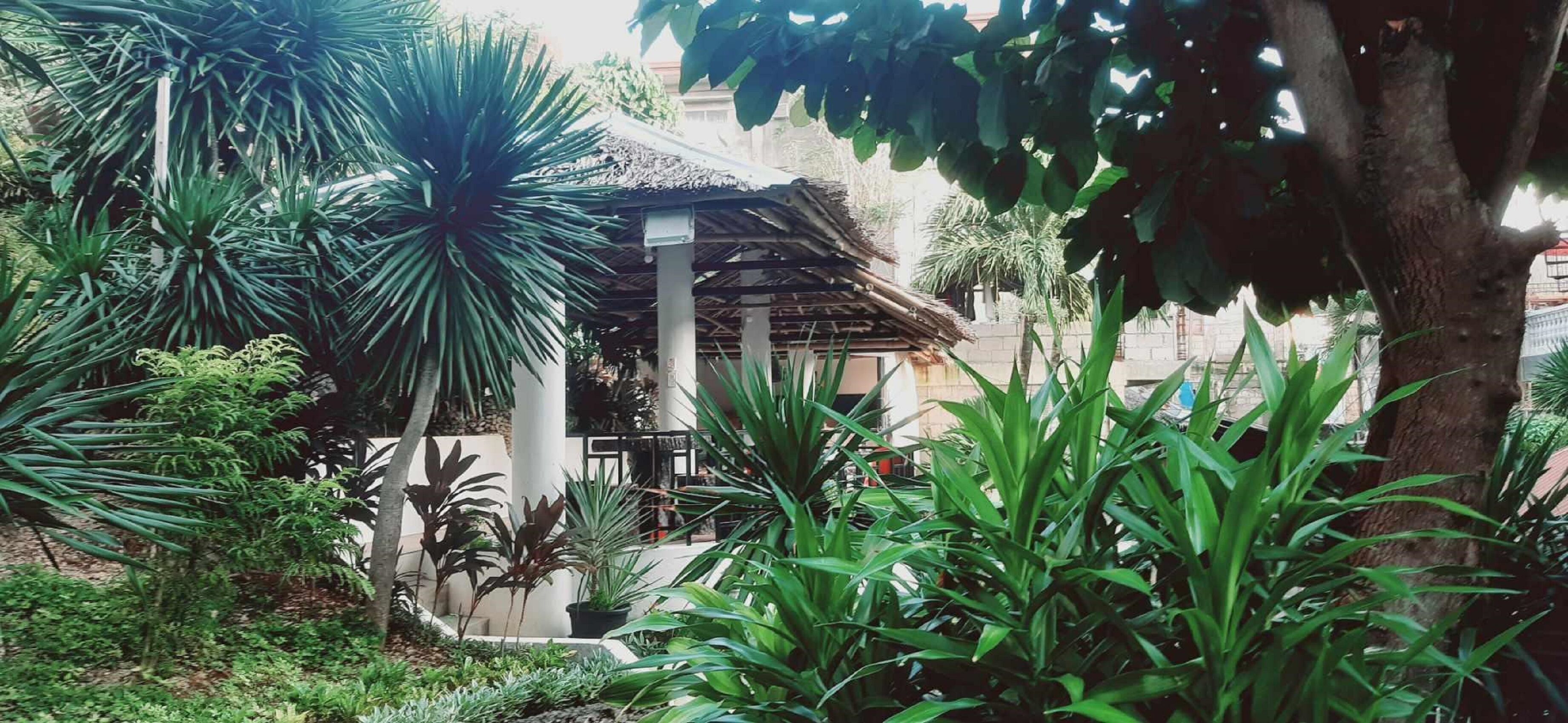 Apartment, 1 Bedroom, Smoking, Patio | Garden