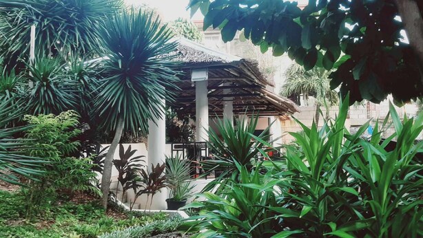 Căn hộ, 1 phòng ngủ, hút thuốc, sân hiên | Vườn