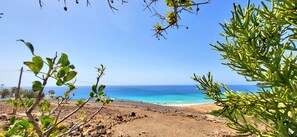 未分類的圖片,第 2 張,共 64 張,按鈕