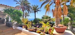 Jardí amb diverses plantes i vista al mar.