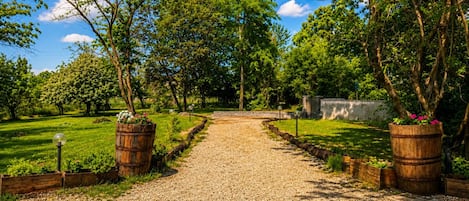 A gravel pathway flanked by wooden planters with flowers, leading to a building with a white facade.