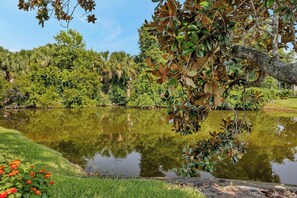 Un parc paisible avec un étang, une végétation luxuriante et un ciel dégagé.