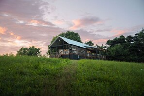 Ein modernes Haus mit einer großen Terrasse, umgeben von üppiger Vegetation und Bäumen.