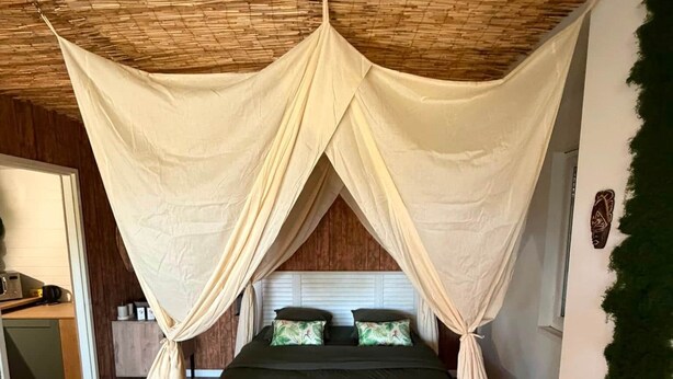 A room with a bed under a canopy, wooden flooring, and a wall with a green plant. - L'Évidence - Love Room & Spa (Chaveignes)
