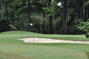 Un campo de golf con un búnker de arena, una bandera y árboles al fondo.