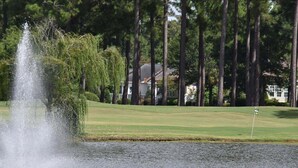 Um campo de golfe com uma fonte de água, um putting green e árvores altas ao fundo.