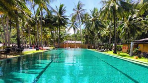 Ảnh chưa phân loại, 3 trong số 82 ảnh, nút