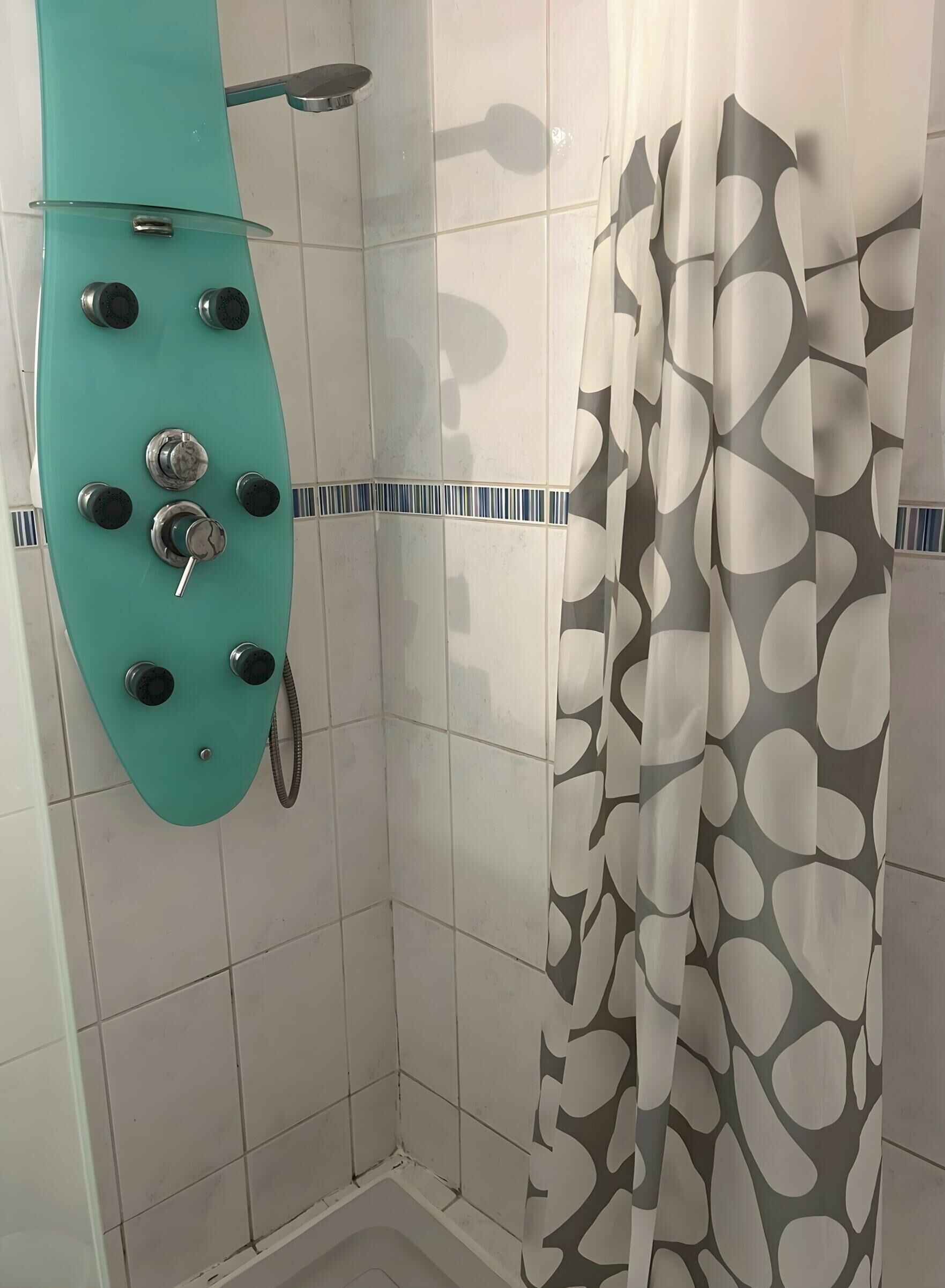 Un baño con ducha, bañera con mampara de vidrio y cortina de ducha estampada.