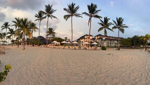 Ett hotell vid stranden med palmer, solstolar och en fantastisk utsikt över havet.
