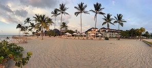 Ein Strandhotel mit Palmen, Liegestühlen und freiem Blick auf den Ozean.