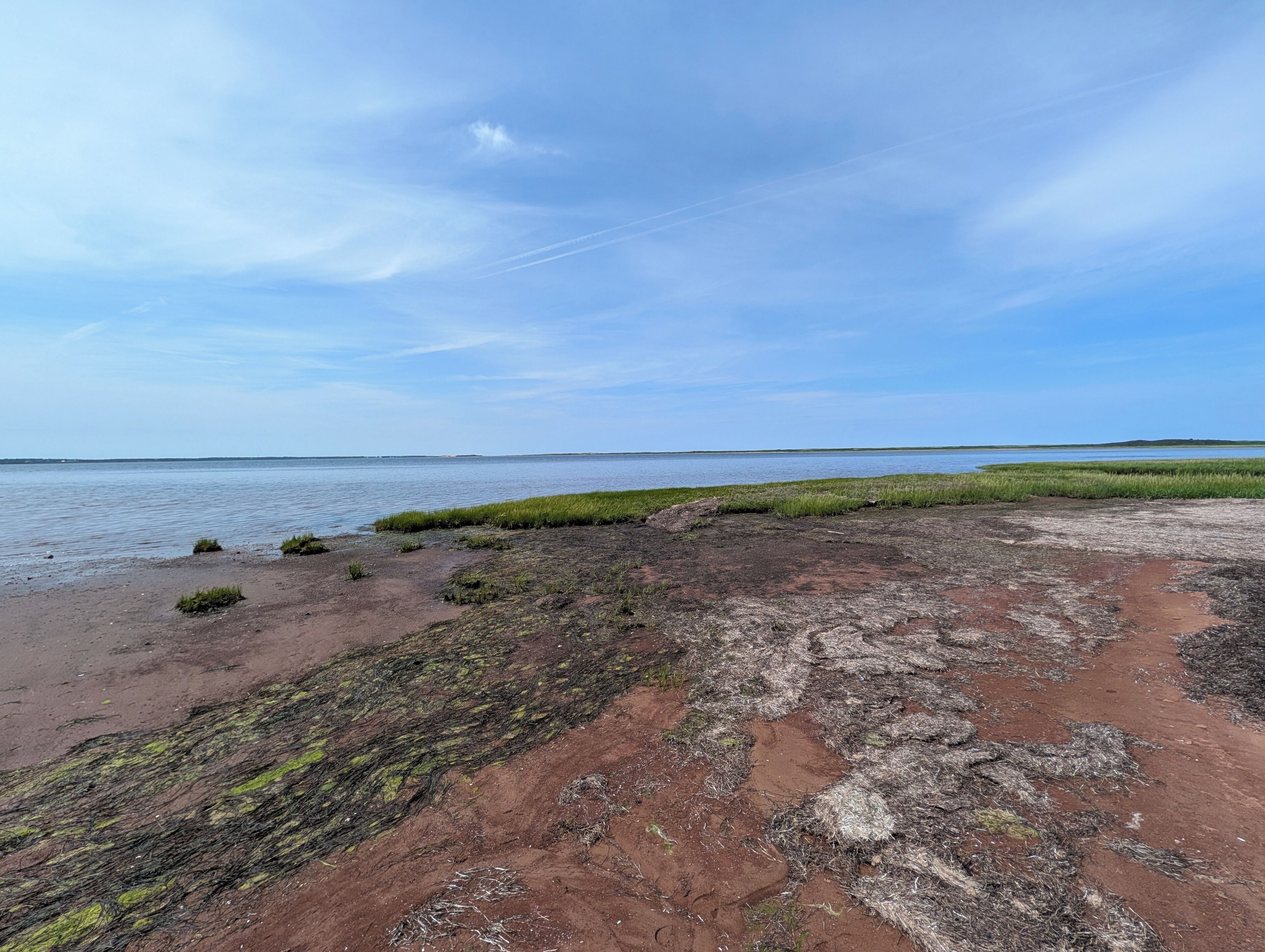A coastal landscape with a sandy beach, patches of grass, and a calm body of water.