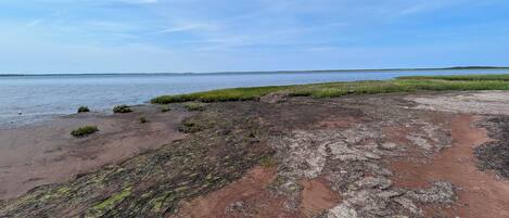 A coastal landscape with a sandy beach, patches of grass, and a calm body of water.
