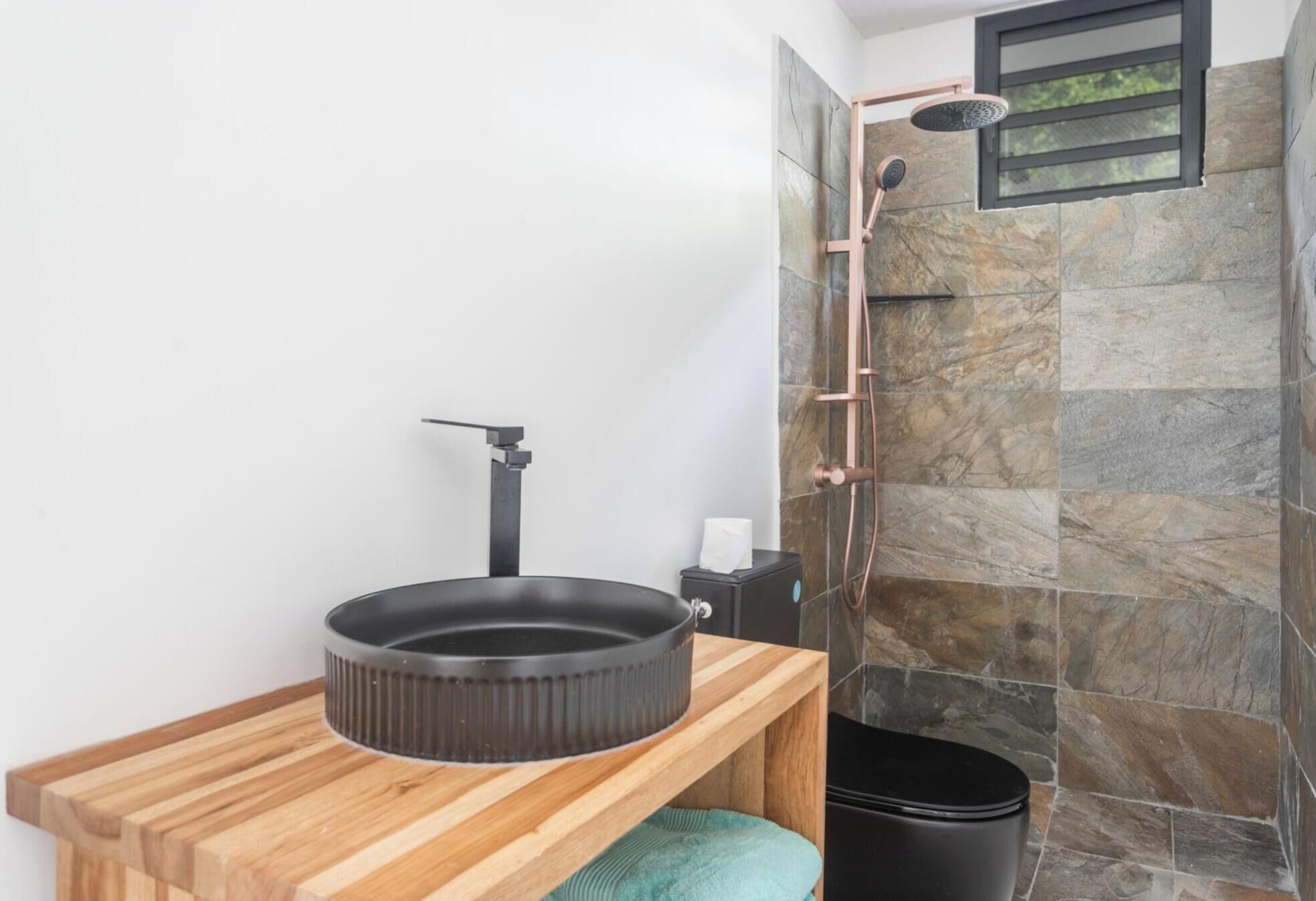Shower, hair dryer, towels