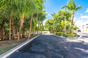 A paved road lined with palm trees and a building in the distance. - Ocean View 3BR Home w/ Private Pool | Nassau (Nassau)