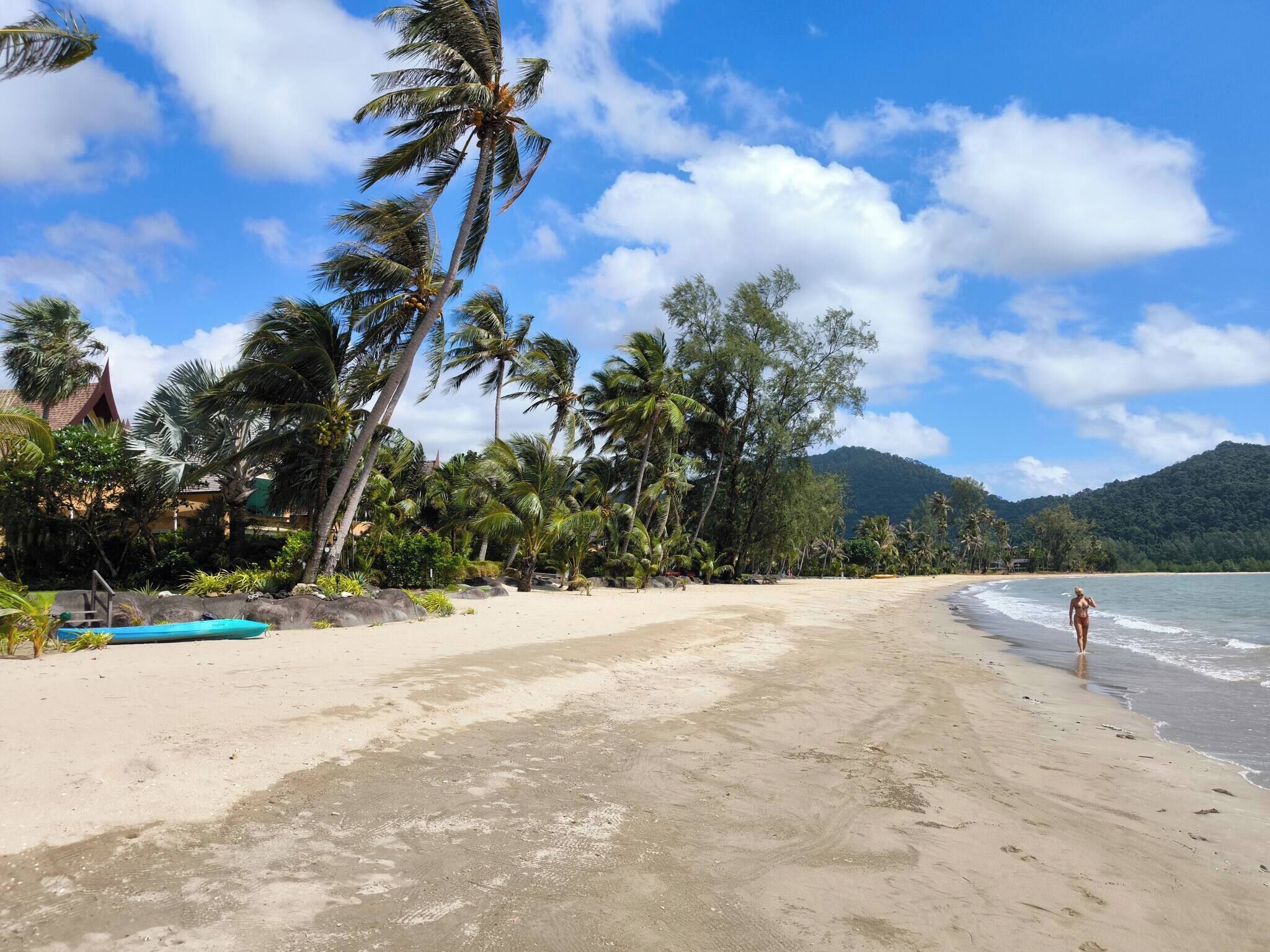 A beach with palm trees, a clear sky, and a mountain in the background.