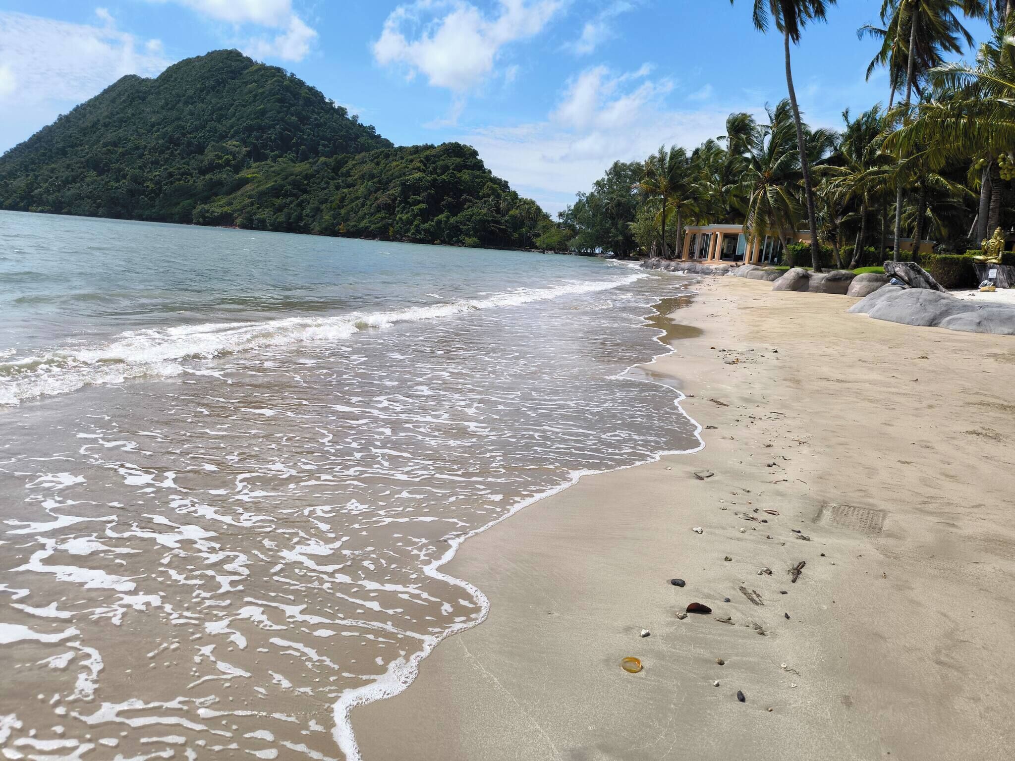 Una playa con una montaña al fondo, agua tranquila y palmeras.