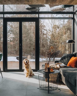 Uma sala de estar moderna com uma grande porta de vidro deslizante que dá para uma área externa coberta de neve, um sofá confortável, uma mesa de centro e um cão sentado perto da porta.