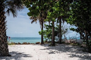 A beach with palm trees and a clear view of the ocean. - Tree Top Bungalow: 2-min walk to beach access, Private Pool (Anna Maria)