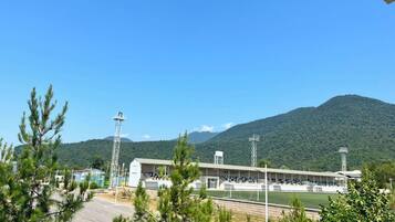 Terrain de sport