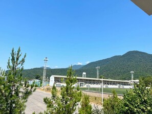 Terrain de sport