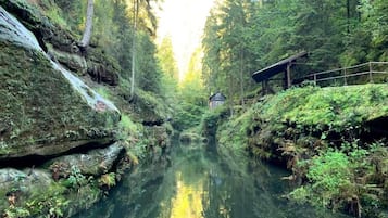 A serene forested area with a clear waterway, a wooden structure, and a small building in the distance.
