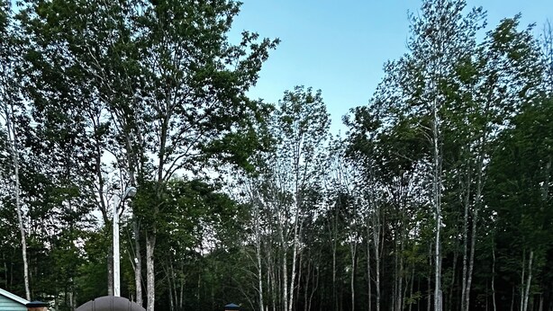 A deck with a chair and a wooden post, surrounded by trees and a clear sky. - Ranch Retreat Rental (Hantsport)