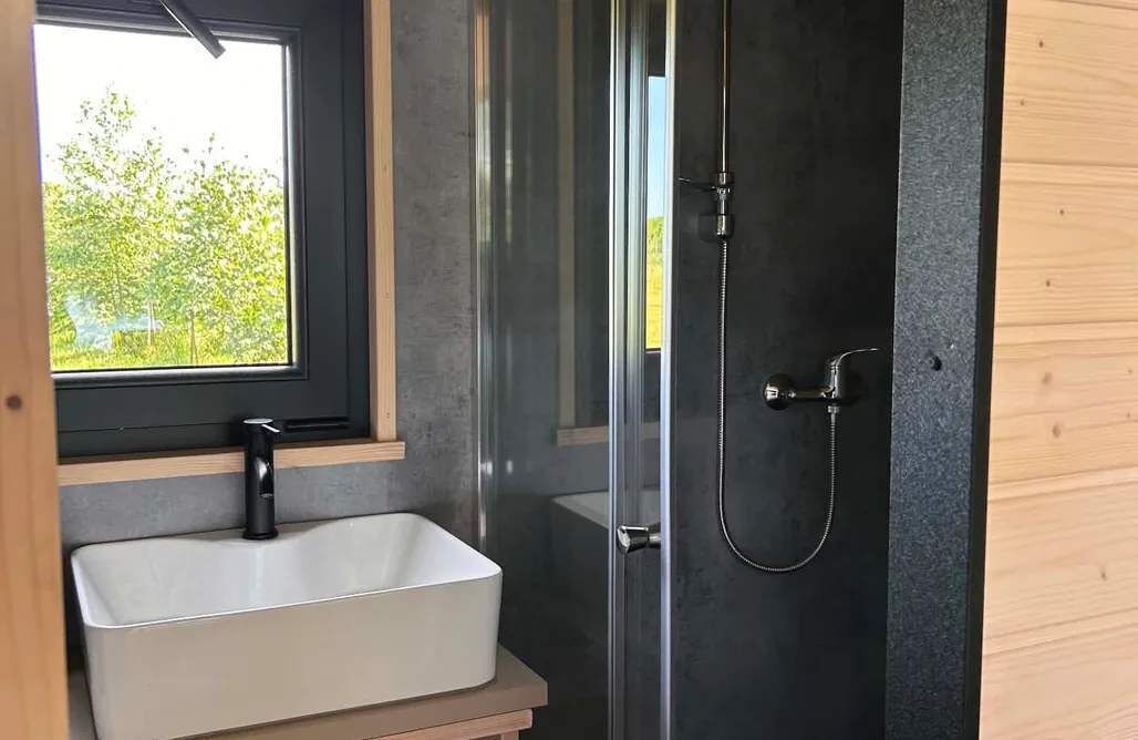 A bathroom with a glass shower enclosure, a white sink, and a window with a view of trees.