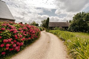 Un chemin de gravier bordé de magnifiques arbustes d’hortensias rouges et d’une variété de plantes vertes, qui mène à un bâtiment traditionnel doté d’un toit en pente.