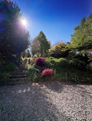 A gravel pathway leading to a wooden staircase surrounded by lush greenery and trees. - Cosy & private cottage nestled in the Wicklow Mountains. Pet friendly! (Tinahely)