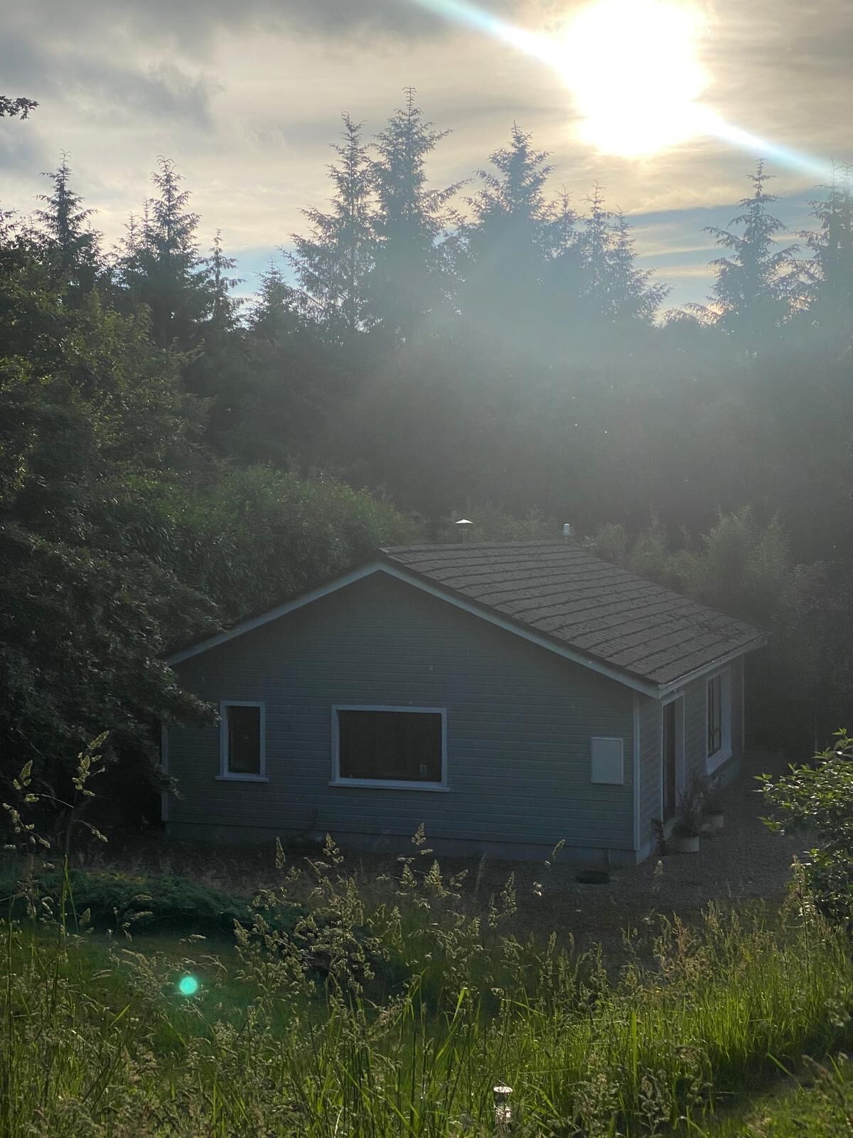 A small house surrounded by dense forest, with a clear view of the sky and sun.