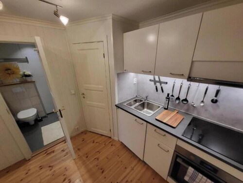 Mars and cozy apartment in the heart of Trondheim – Free parking included