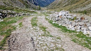 Ein Bergpfad mit felsigem Untergrund und vereinzelten Grashalmen.