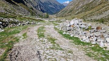 Sendero de montaña con terreno rocoso y hierba escasa.