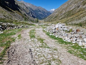 Sendero de montaña con terreno rocoso y hierba escasa.