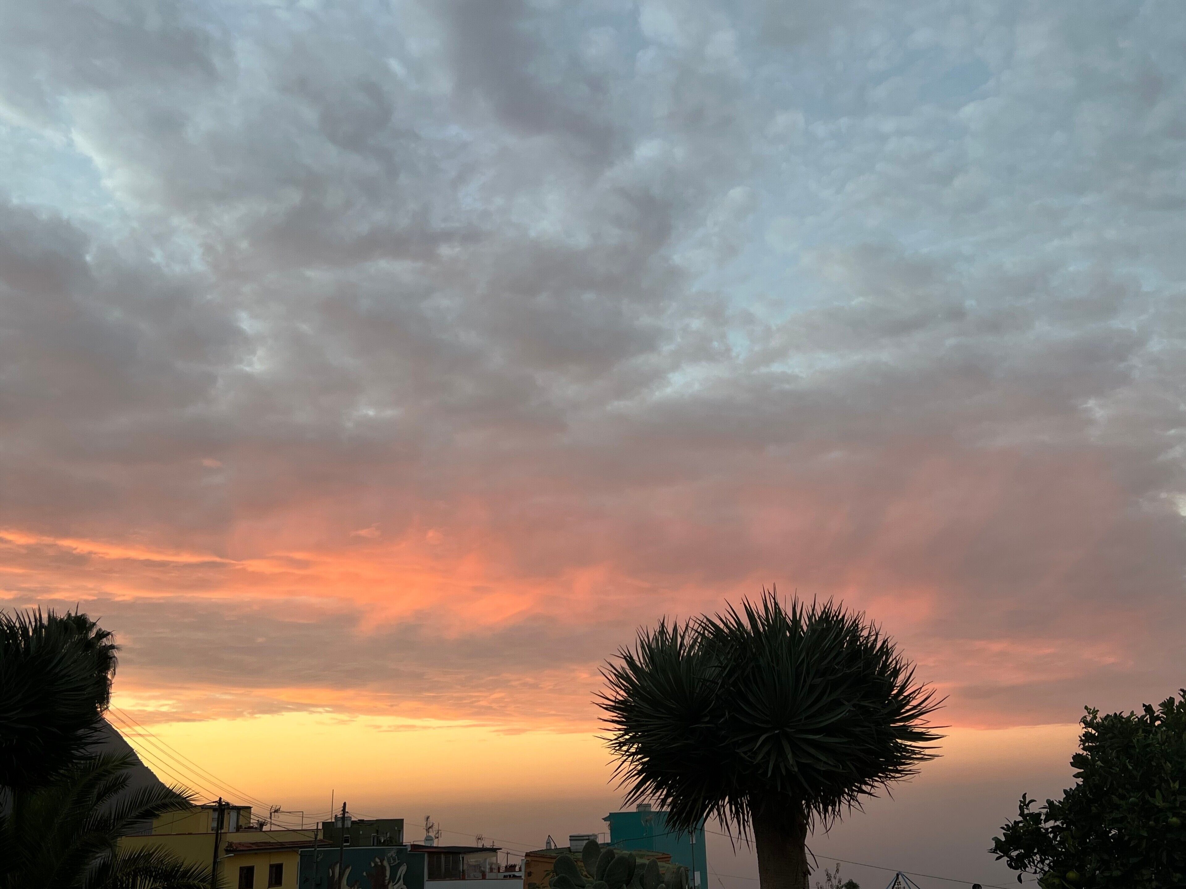 Solnedgang over en bygningrække i forgrunden, himlen er klar.